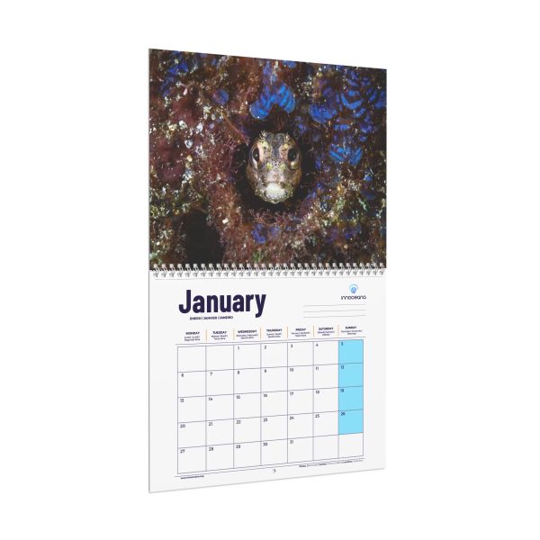 Innoceana Wall Calendar