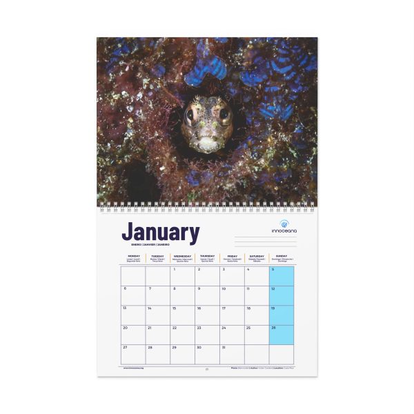 Innoceana Wall Calendar - Image 2