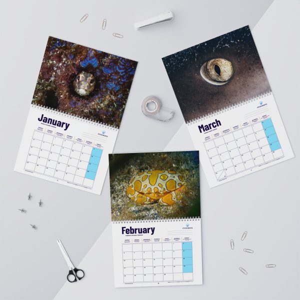 Innoceana Wall Calendar - Image 4