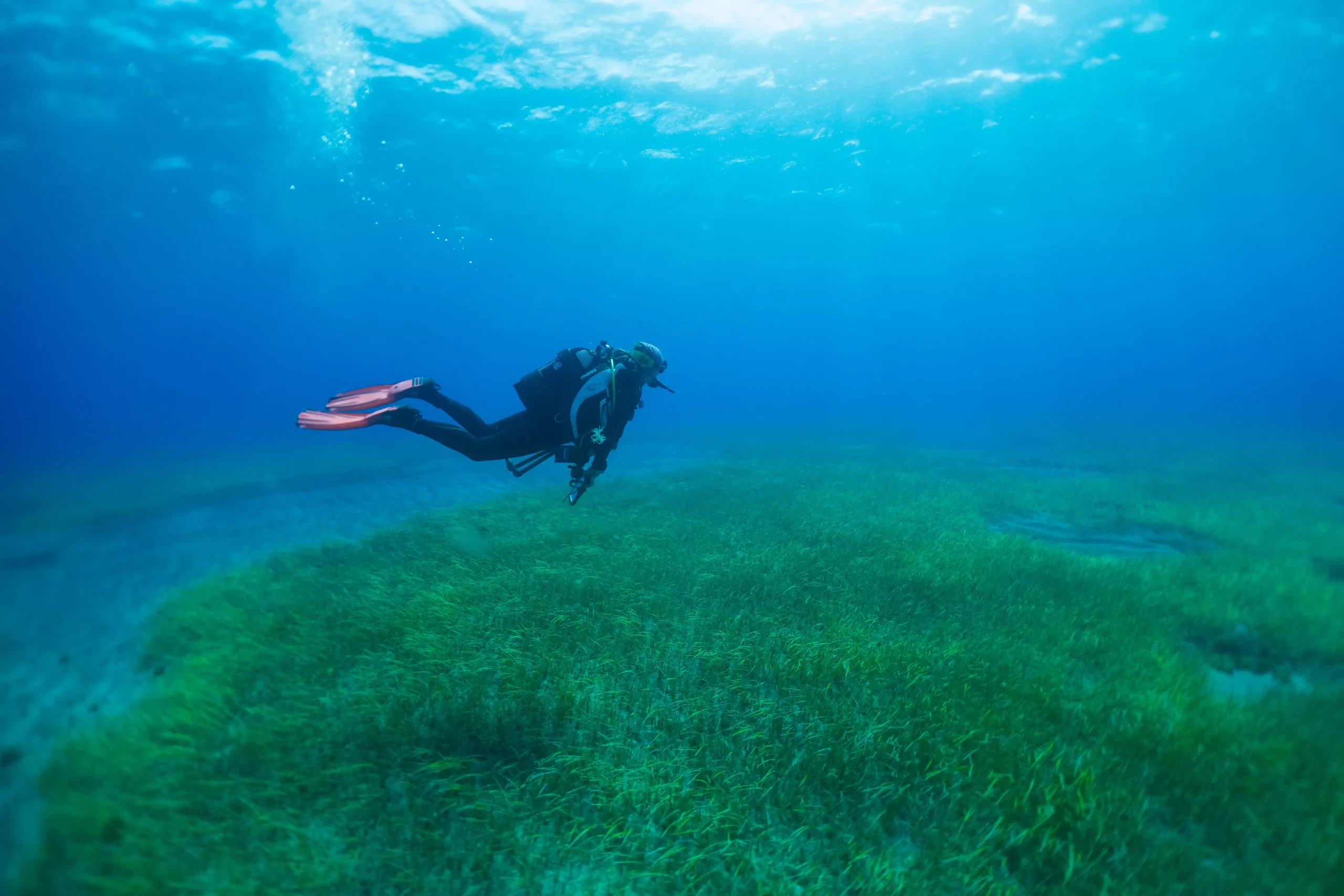 AnyConv.com__Abades Alfredo-4