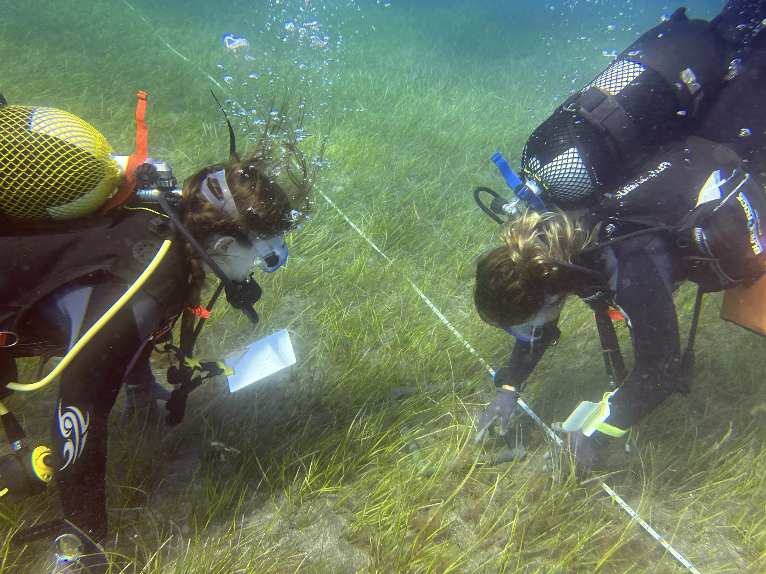 AnyConv.com__IMG_5283