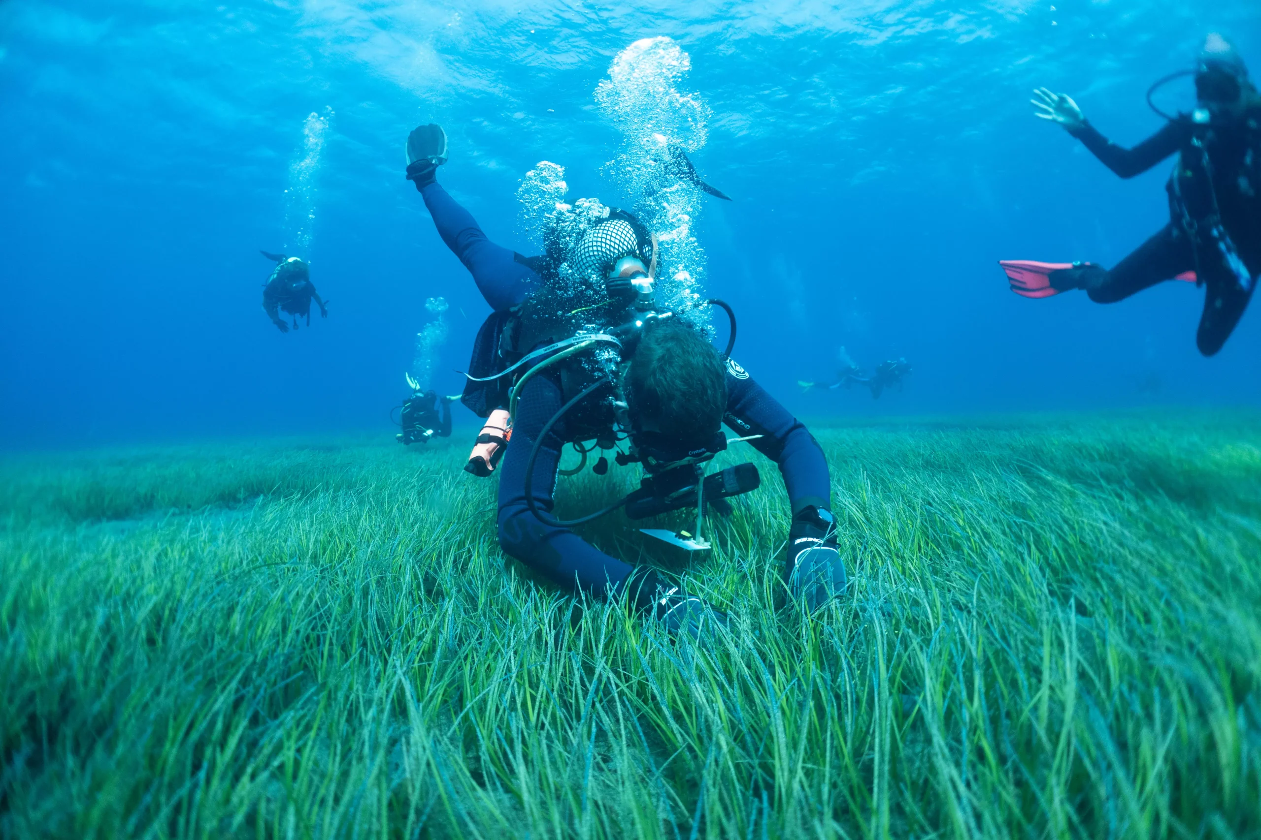 AnyConv.com__abades jpg-13